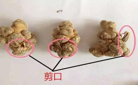 滑頭三七比剪口三七好