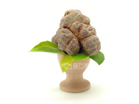 種三七的地要休養(yǎng)