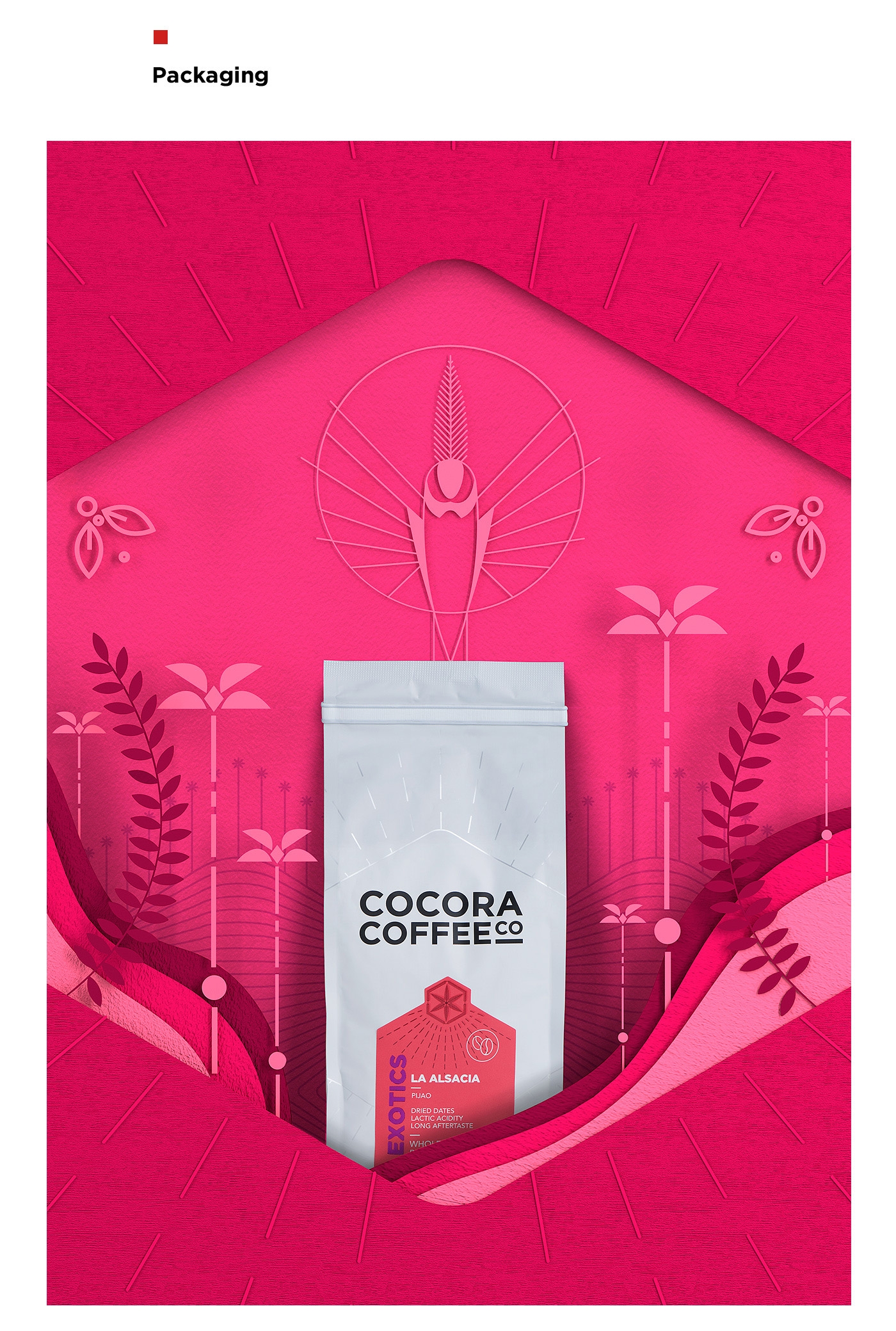 為一個咖啡杯，一個街角咖啡店，做整體的品牌包裝設(shè)計(jì)